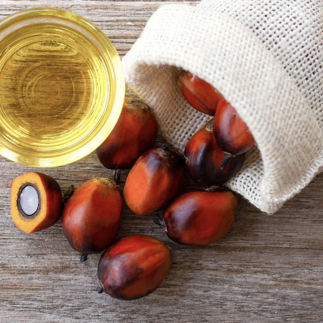 Batana Oil from American Oil Palm Tree Kernel/Seeds