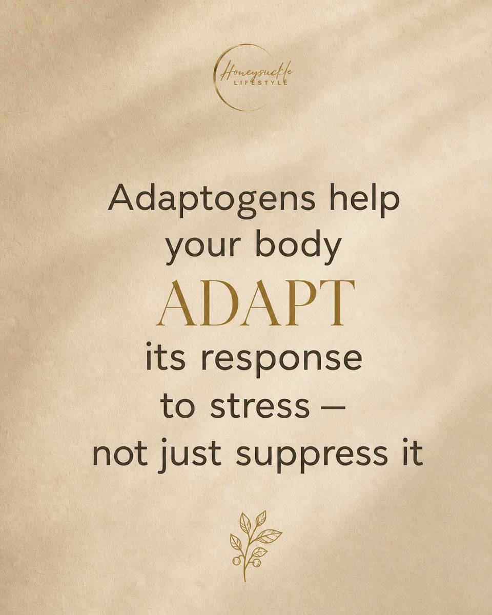 Text on a beige background about adaptogens helping the body adapt to stress.